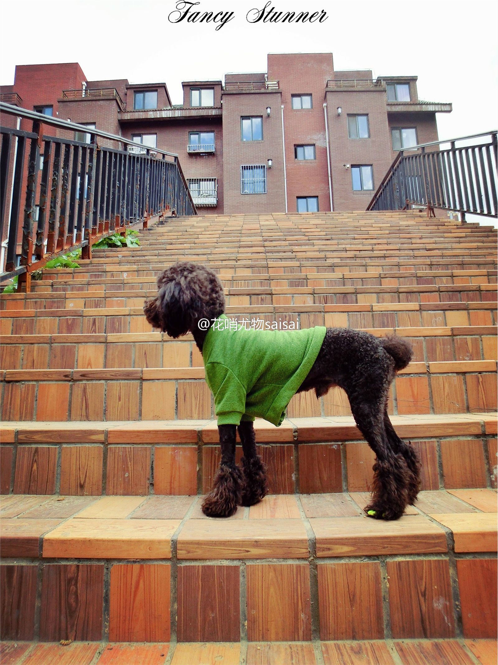 花哨尤物saisai的微博列表微女郎 2